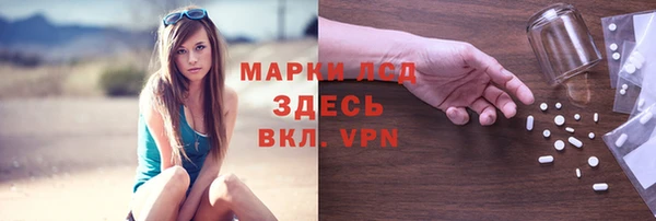 мяу мяу мука Медвежьегорск