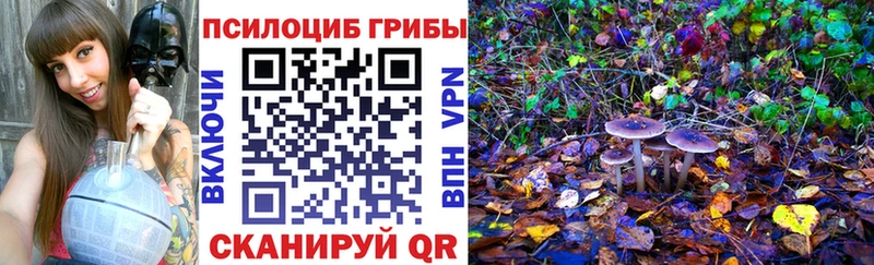 Галлюциногенные грибы прущие грибы Моздок