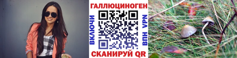 Купить закладки  Моздок  Псилоцибиновые грибы MAGIC MUSHROOMS 